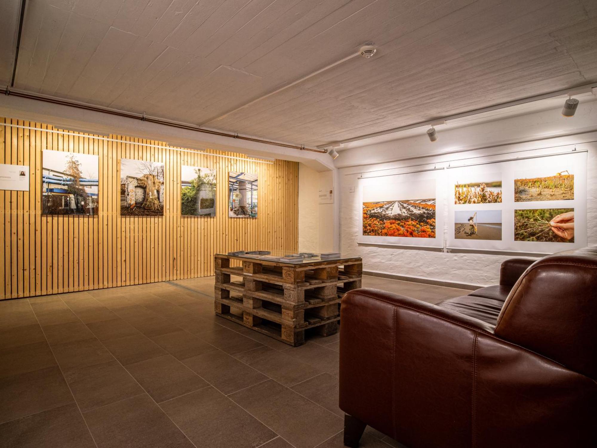 Hotel Stone Zingst Kültér fotó